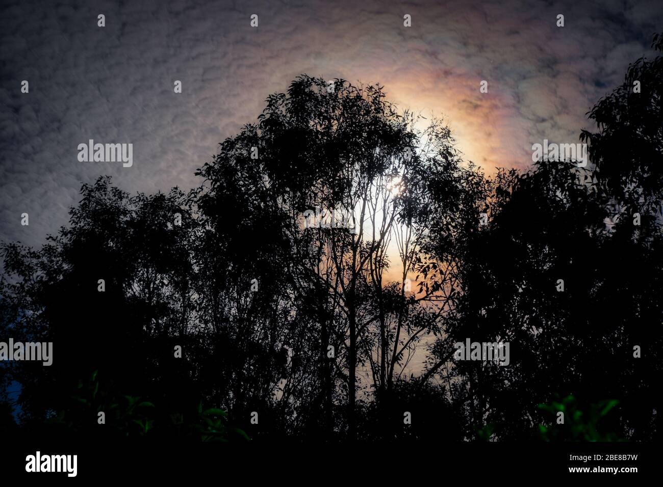 Full Moon Rising in a Dark Night Sky Stock Photo