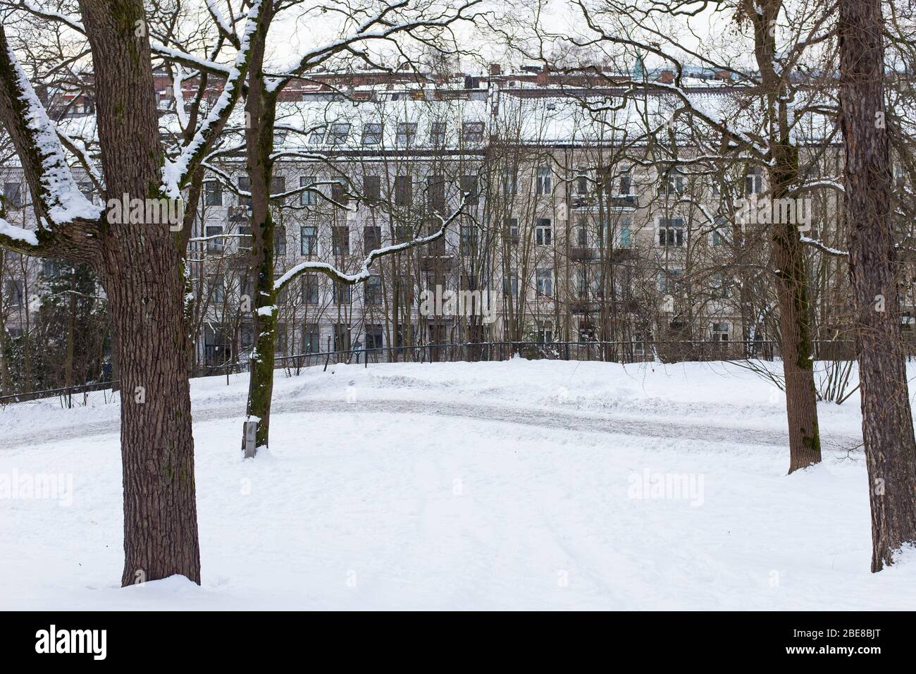Snow Blankets St Hanshaugen Park In Central Oslo Norway Stock Photo Alamy