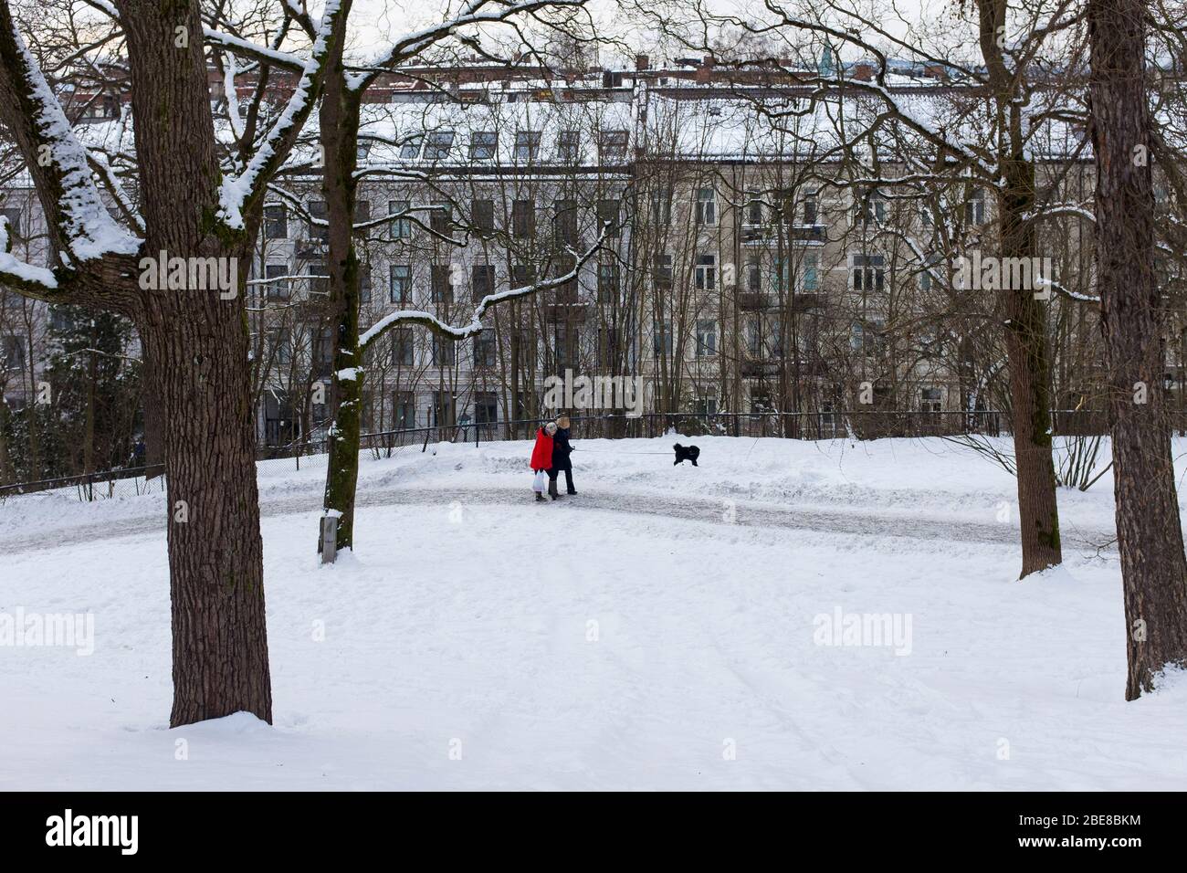 Snow blankets St. Hanshaugen park in central Oslo, Norway. Stock Photo