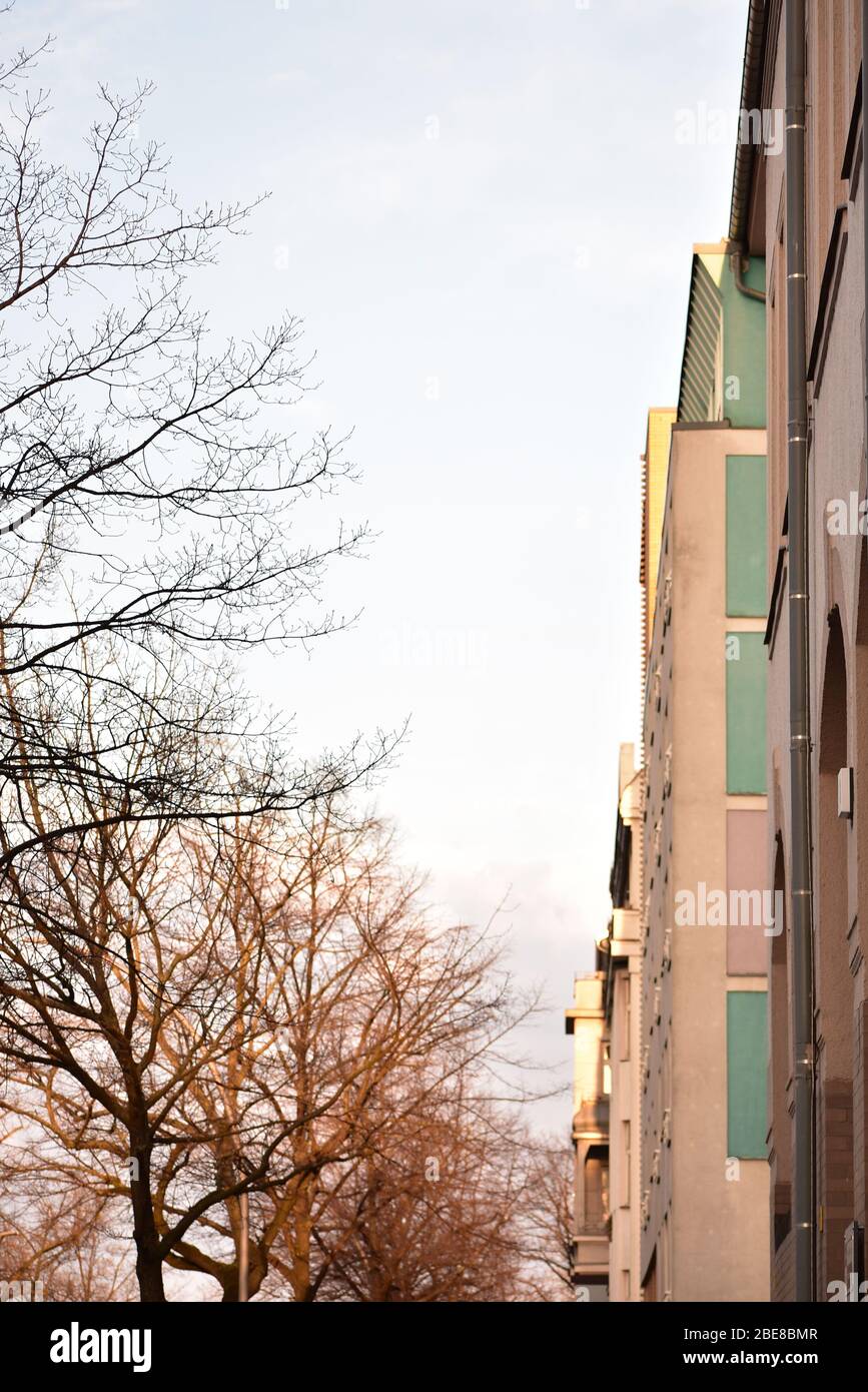 Trees in front of green apartment facade in Schoneberg Berlin Stock Photo Alamy