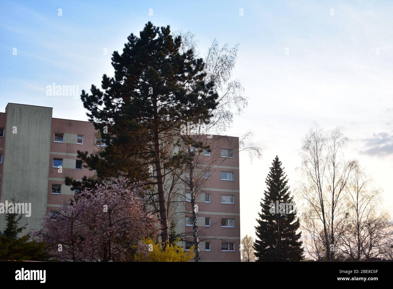 Trees in front of green apartment facade in Schoneberg Berlin Stock Photo Alamy
