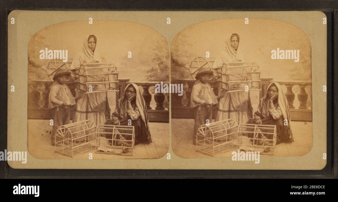 ''Pagarias' (Mexican women selling birds.)Alternate Title:  Views in and around San Antonio : Street Life in San Antonio.; Created: 1876-1879.  Coverage: 1865?-1880?. Source Imprint: 1865?-1880?.  Digital item published 12-1-2005; updated 5-18-2009.; Original source: Robert N. Dennis collection of stereoscopic views.  / United States. / States / Texas. / Stereoscopic views of San Antonio, Texas. (Approx. 72,000 stereoscopic views : 10 x 18 cm. or smaller.) digital record        This image is available from the New York Public Library's Digital Library under the digital ID G92F039 030F: digital Stock Photo