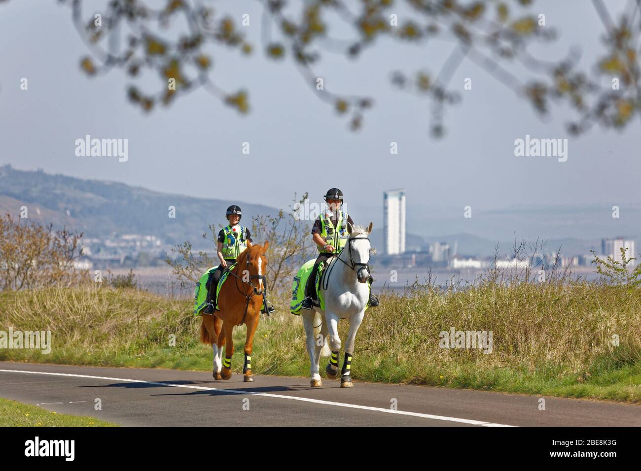 Pathway Patrol High Resolution Stock Photography and Images - Alamy