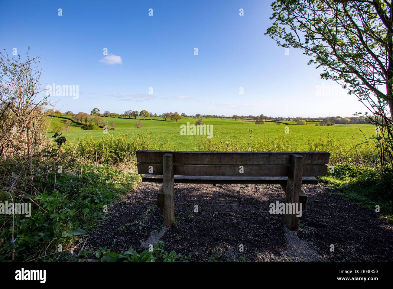 Empty bench with view in the Cheshire countryside UK Stock Photo
