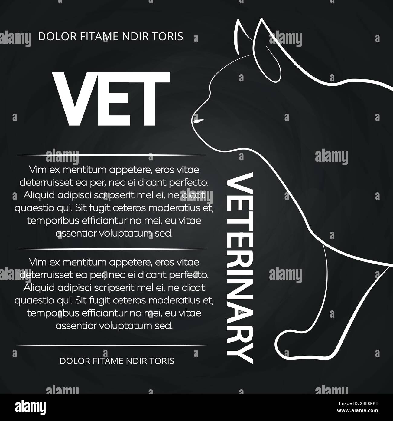 Veterinary chalkboard poster with cat silhouette vector illustration Stock Vector