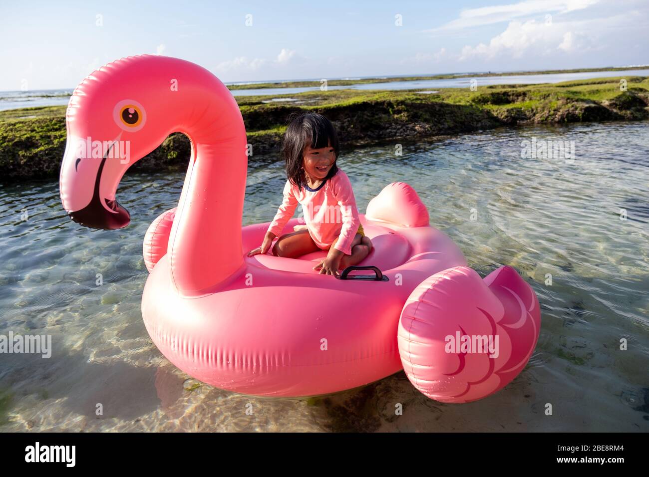 Riding the flamingo hi-res stock photography and images - Alamy