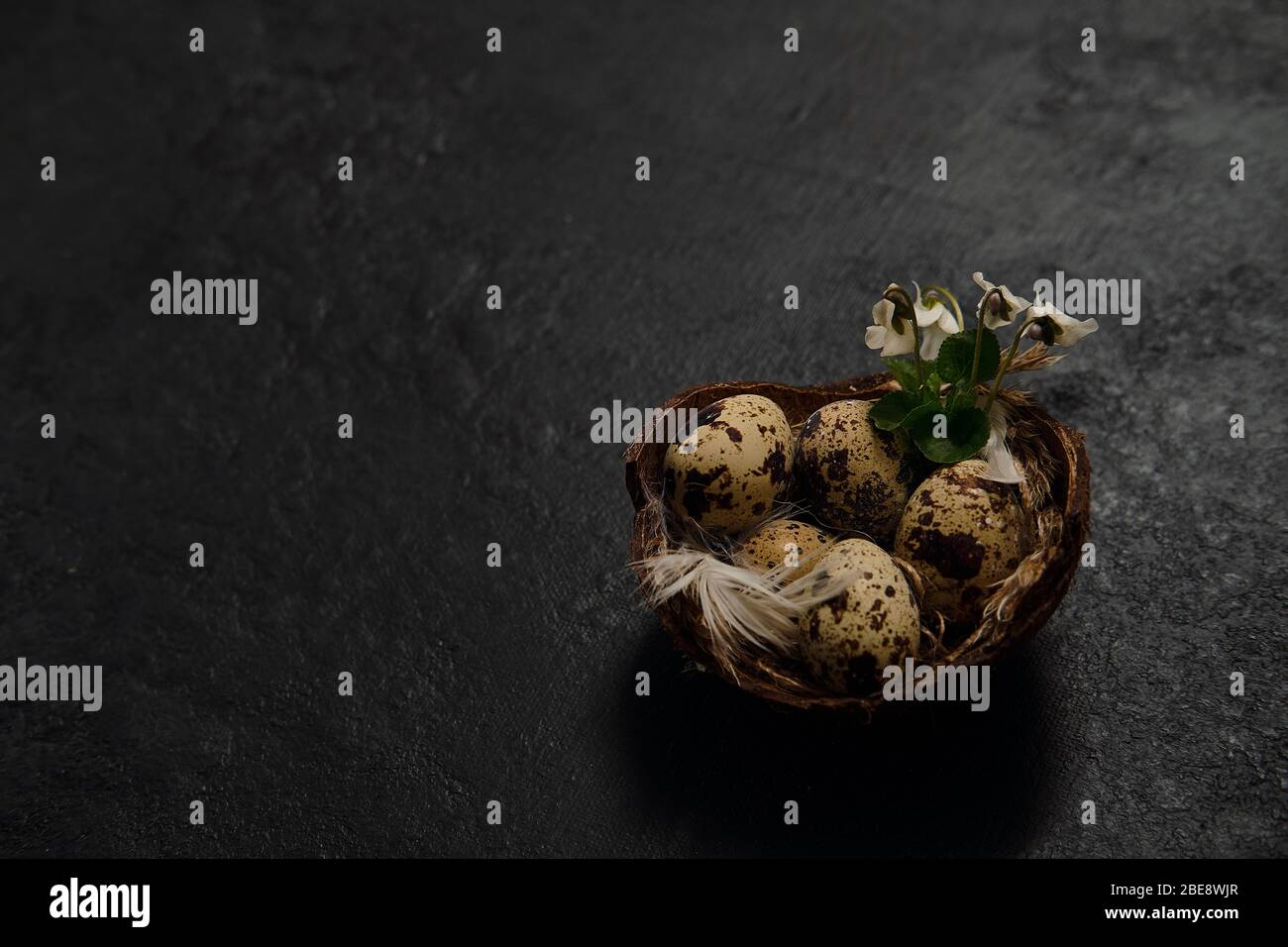 eggs in the nest and green leaves on a black background. Concept easter Stock Photo