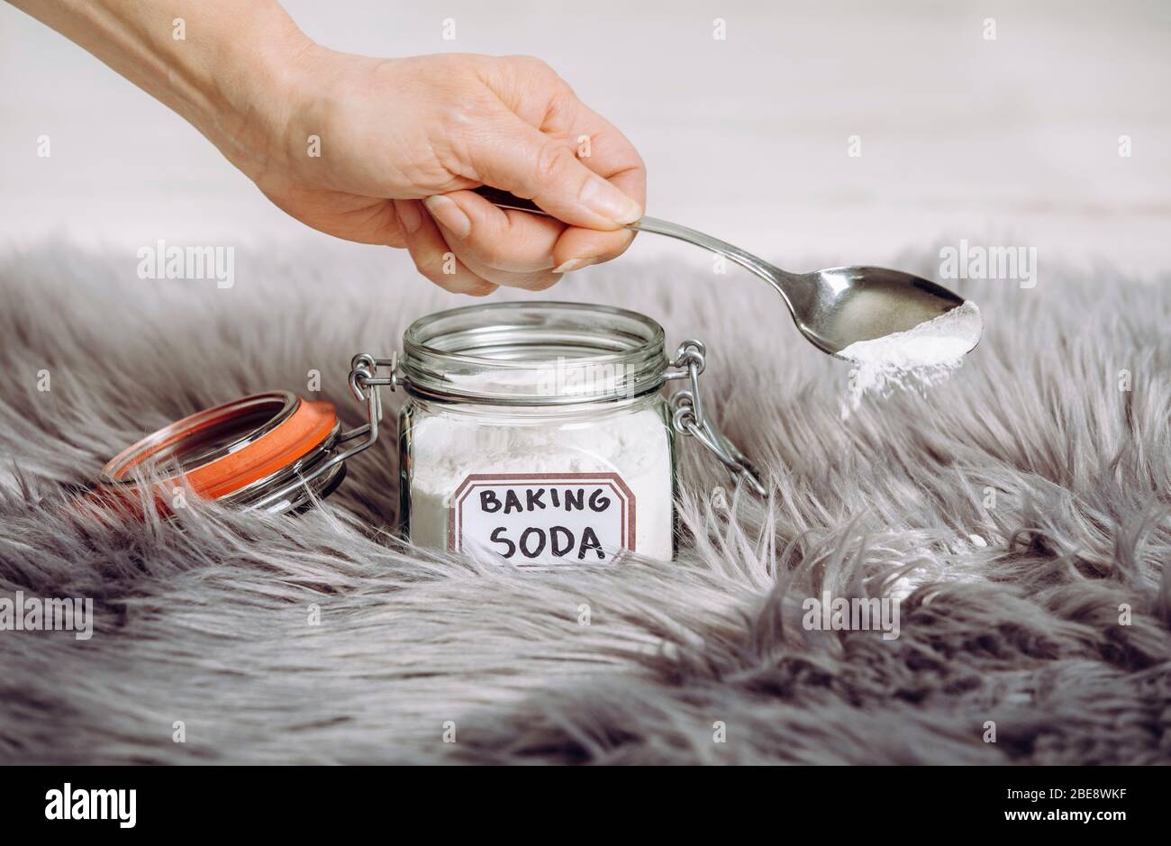 Woman hand pouring baking soda Sodium bicarbonate in long hair fur carpet for cleaning and stain removal. Natural home cleaners concept. Stock Photo