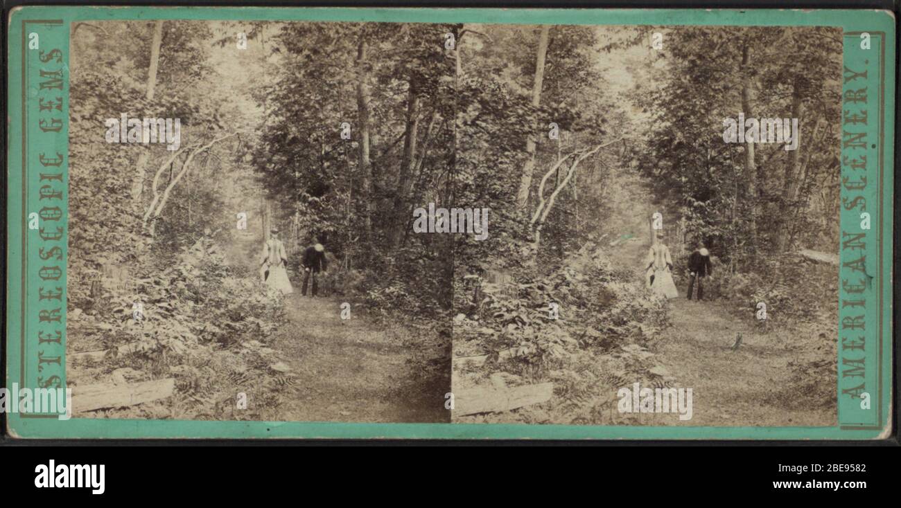'A stroll through the woods at Lake George, N.Y.Alternate Title:  Stereoscopic gems, American scenery.; Coverage: [1860?-1895?].  Digital item published 6-14-2006; updated 2-11-2009.; Original source: Robert N. Dennis collection of stereoscopic views.  / United States. / States / New York / Stereoscopic views of Lake George, New York (Approx. 72,000 stereoscopic views : 10 x 18 cm. or smaller.) digital record        This image is available from the New York Public Library's Digital Library under the digital ID G91F120 045F: digitalgallery.nypl.org → digitalcollections.nypl.org This tag does no Stock Photo
