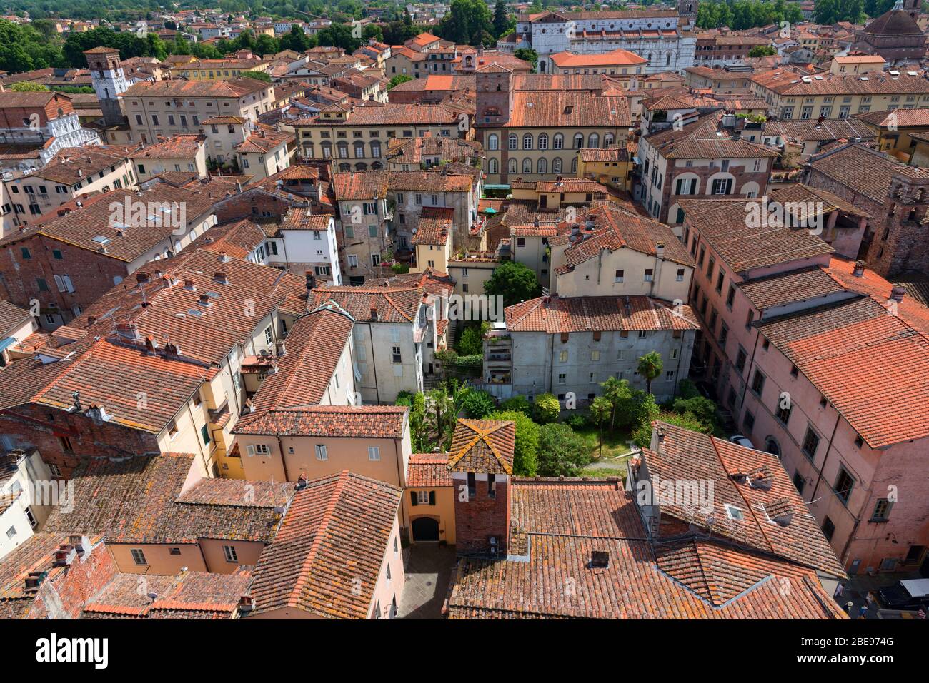 Aerial view of the small medieval town of Lucca, Toscana Tuscany , Italy, Europe. View from the Guinigi tower Stock Photo