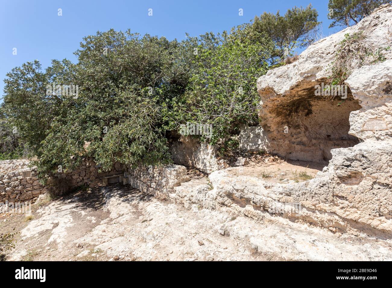 Cave of Burials, Ghar Il-Midfna, and carob tree, Ceratonia siliqua, the oldest on the island, on the Heritage Trail, Xemxija, Bajda Ridge, coast of Ma Stock Photo