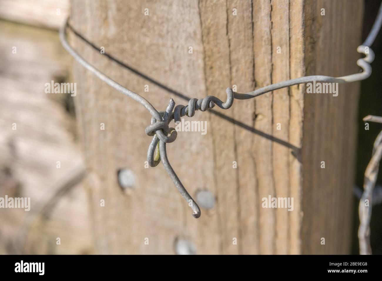 Close up shot of twisted ends of galvanised fencing wire on a farm fence post. Metaphor bitter and twisted, twisted mind. Stock Photo