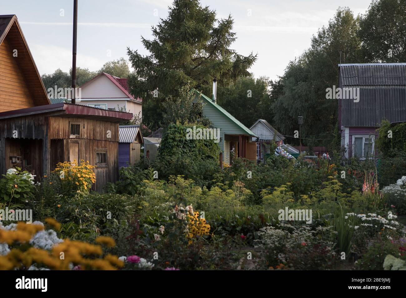 Russian country houses dachas with gardens and flowers in summer Stock Photo