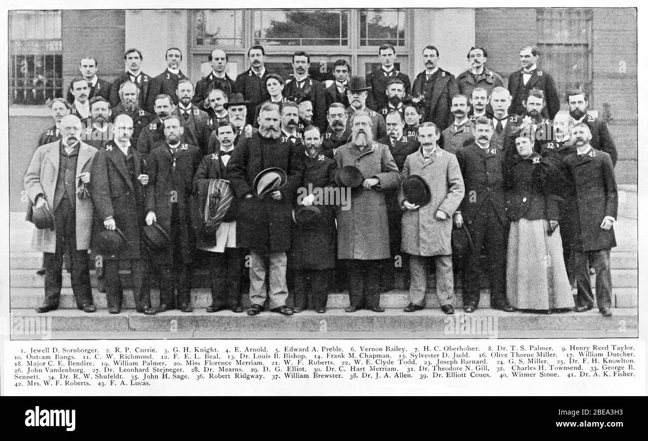 "American ornithologists at the 13th Congress of the AOU  Jewell D. Sornborger R P Currie G H Knight E Arnold Edward A Preble Vernon Bailey HC Oberholser T S Palmer Henry Reed Taylor Outram Bangs C W Richmond FEL Beal Louis B Bishop Frank M Chapman Sylvester D Judd Olive Thorne Miller William Dutcher Major C F Bendire Wiliam Palmer Miss Florence Merriam W F Roberts W E Clyde Todd Joseph Barnard G S Miller Dr. F H Knowlton John Vandenberg Dr Leonhard Stejneger Dr Mearns D G Elliot Dr C Hart Merriam Dr Theodore N Gill Charles H Townsend George B Sennett Dr R W Shufeldt John H Sage Robert Ridgway Stock Photo