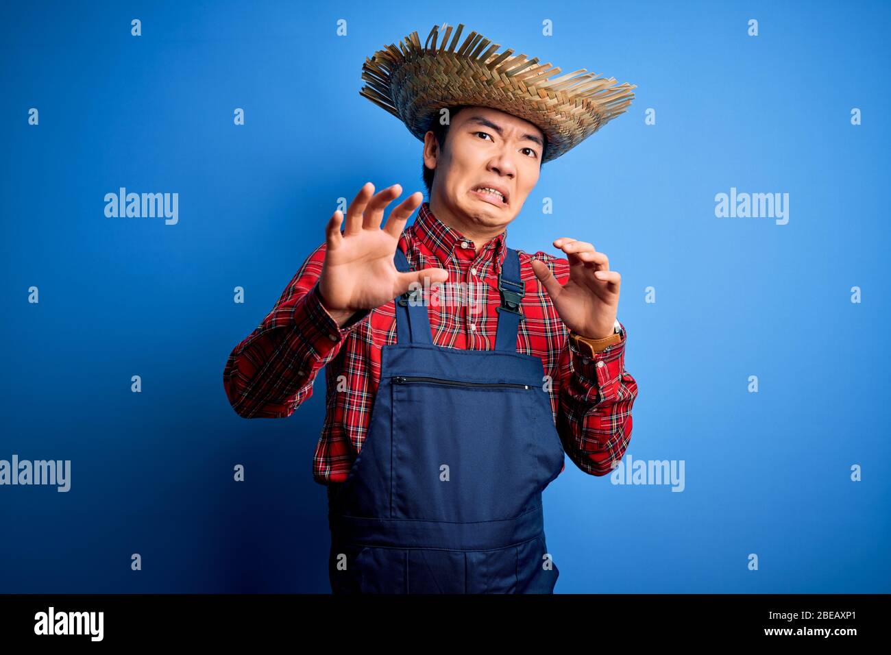 Young handsome chinese farmer man wearing apron and straw hat over blue  background afraid and terrified with fear expression stop gesture with  hands Stock Photo - Alamy