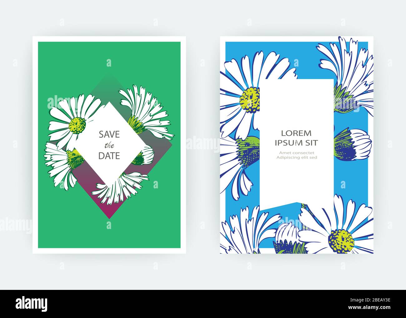 Hand drawn close-up Chrysanthemum flower artistic vector illustration ...