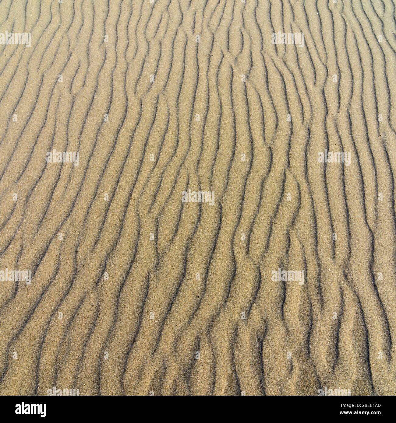 Wavy contours in the sand. The sea has shaped the beach into lines through the waves. Stock Photo