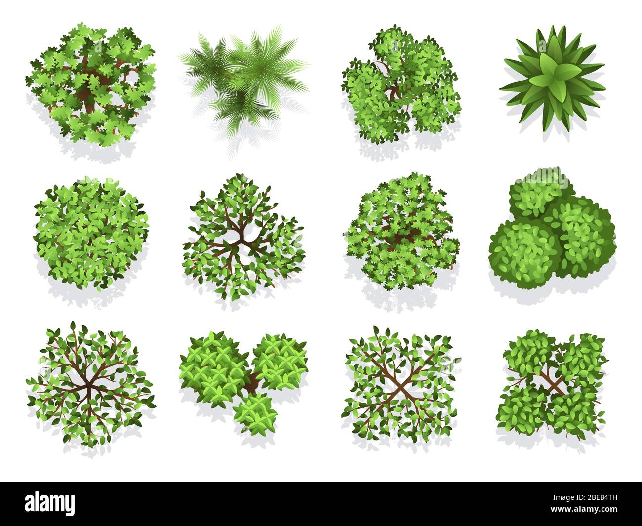 Top view tree collection - green foliage isolated on white background. Green plant top, nature tree collection illustration vector Stock Vector