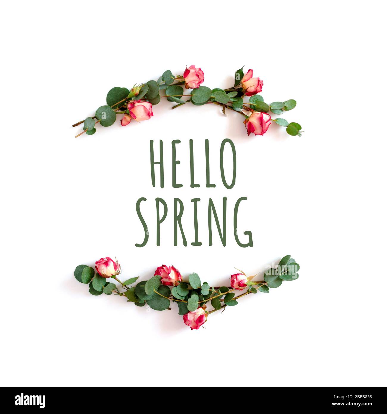 Quote Hello spring. Border frame made of eucalyptus branches and pink ...