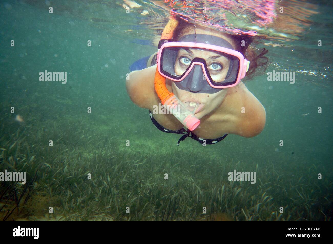 Schnorchlerin im John Pennekamp Coral Reef State Park, Key Largo, Florida, USA Stock Photo