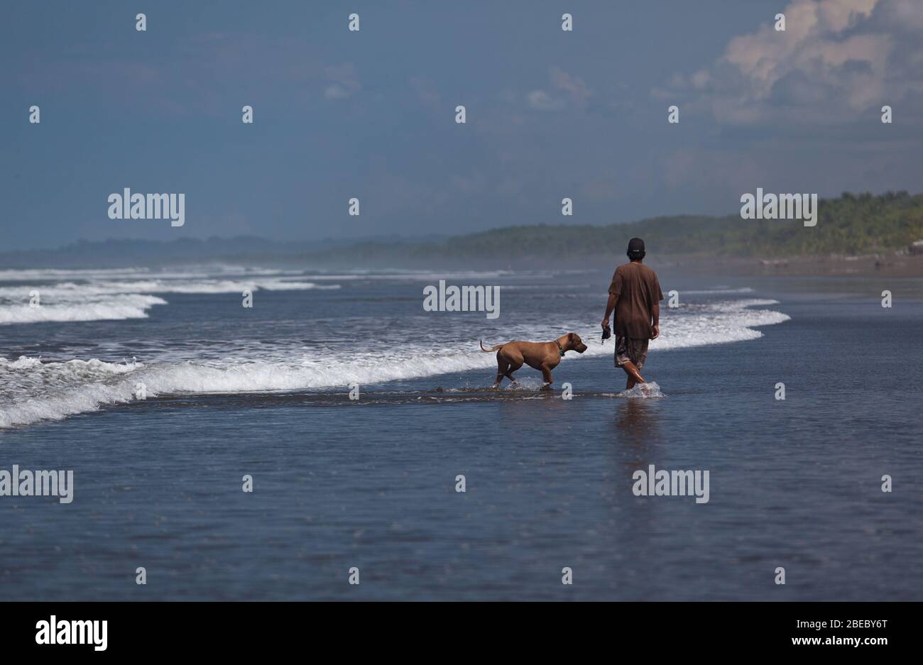 man walking with dog long ocean beach low tide waves Pacific Ocean ...