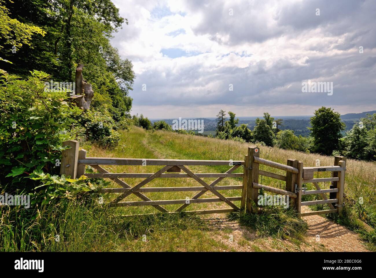 A footpath and five bar gate on Ranmore Common on a summer's day ...