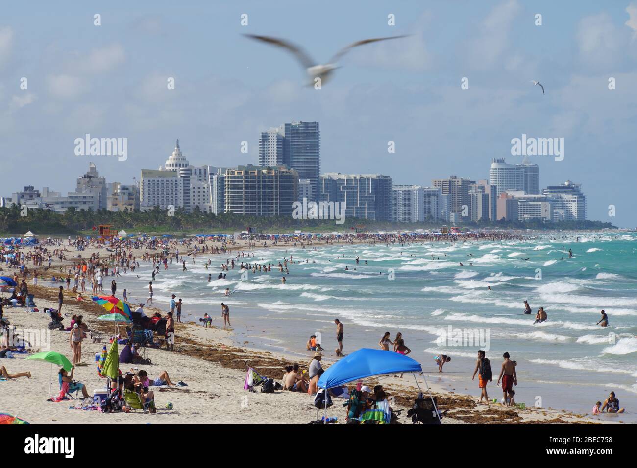 South Beach in Miami Beach, Florida, USA Stock Photo Alamy