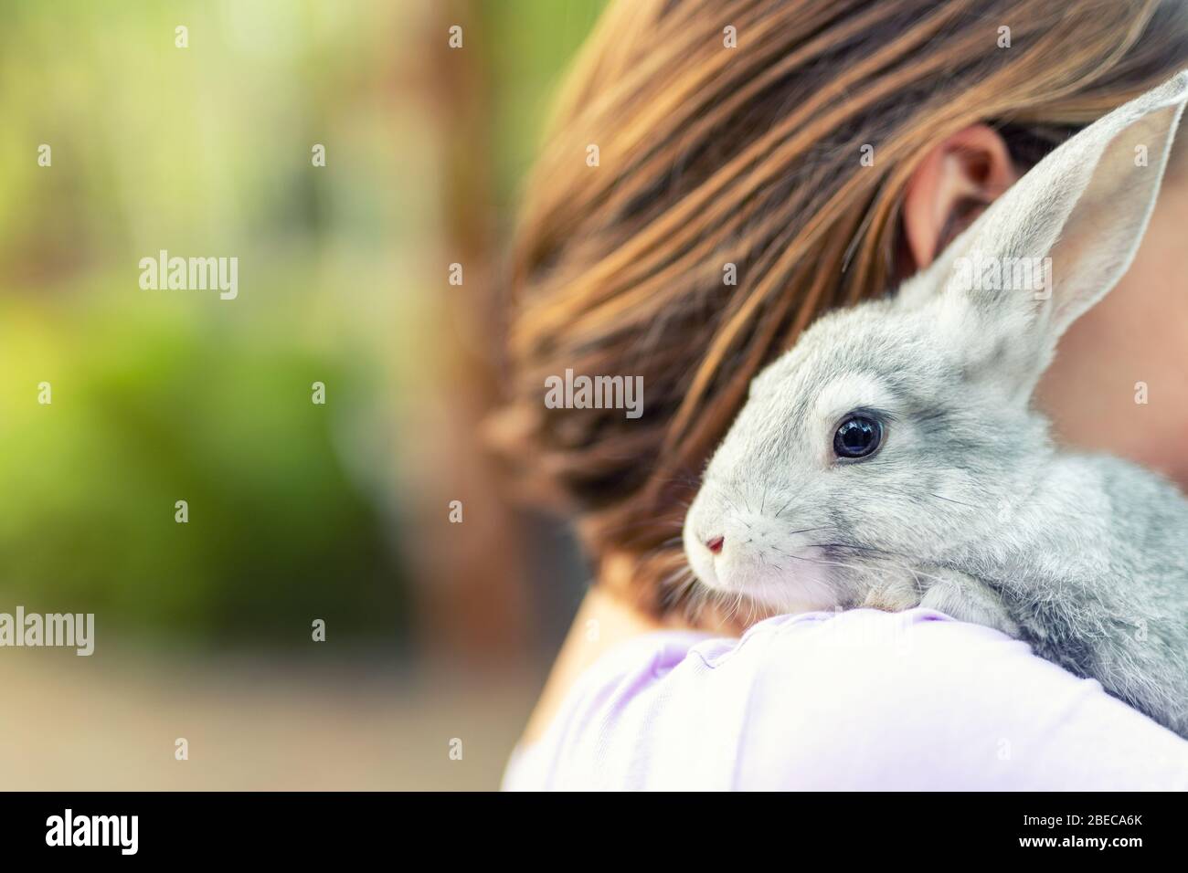 Cute adorable sweet little rabbit sitting on shoulder of young adult brunette woman at warm sunset time country outdoors. Animal friendship and care Stock Photo