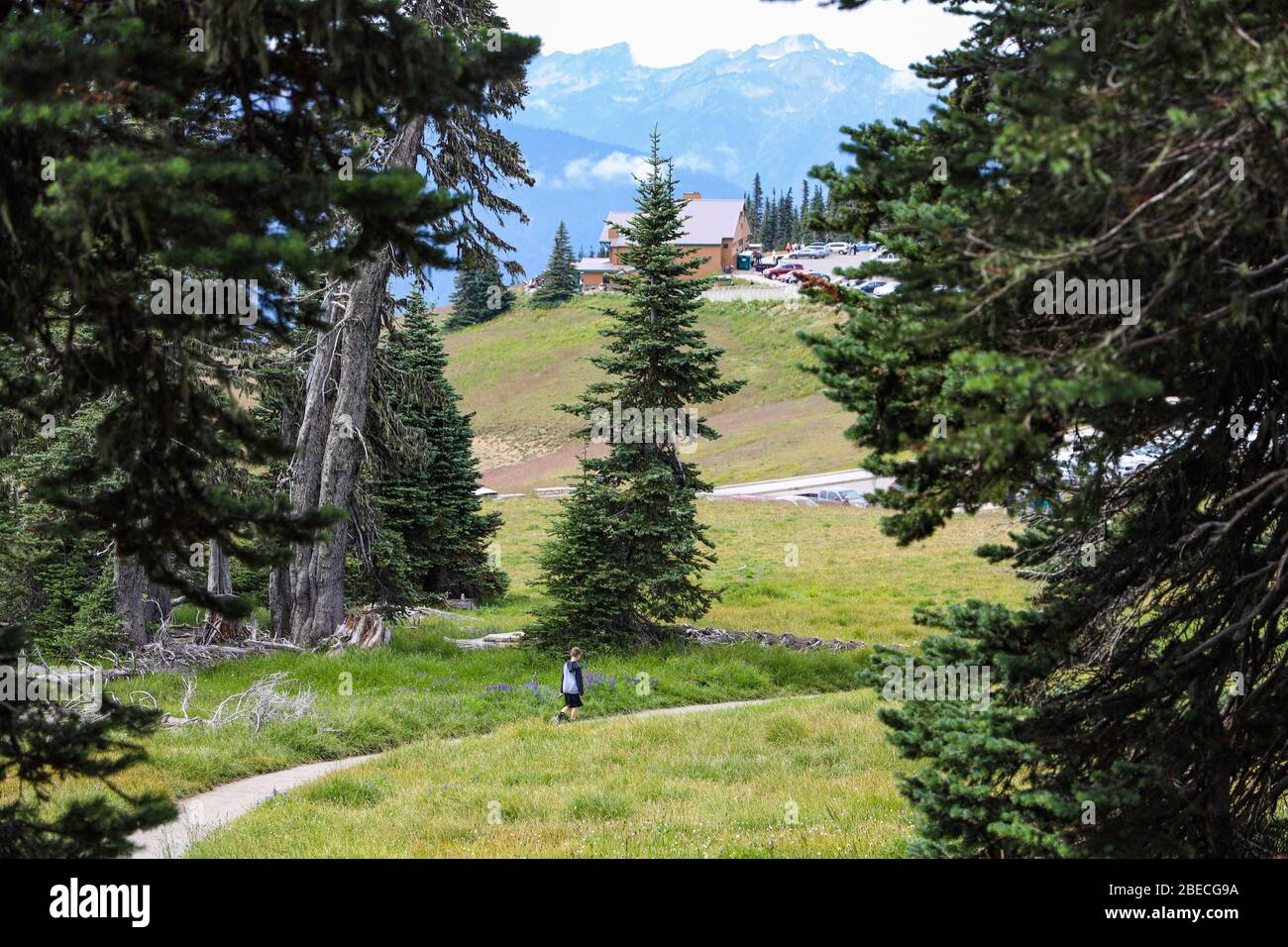 Scenic View of the Informatin Center and  the Olympic Mountains from Hiking Trail on Hurricane Ridge Stock Photo