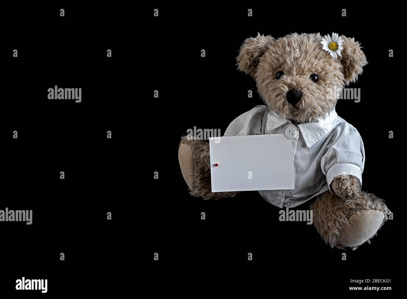 Stuffed hand made poorly bear with plaster and flowers for Get well soon  isolated over white background Stock Photo - Alamy