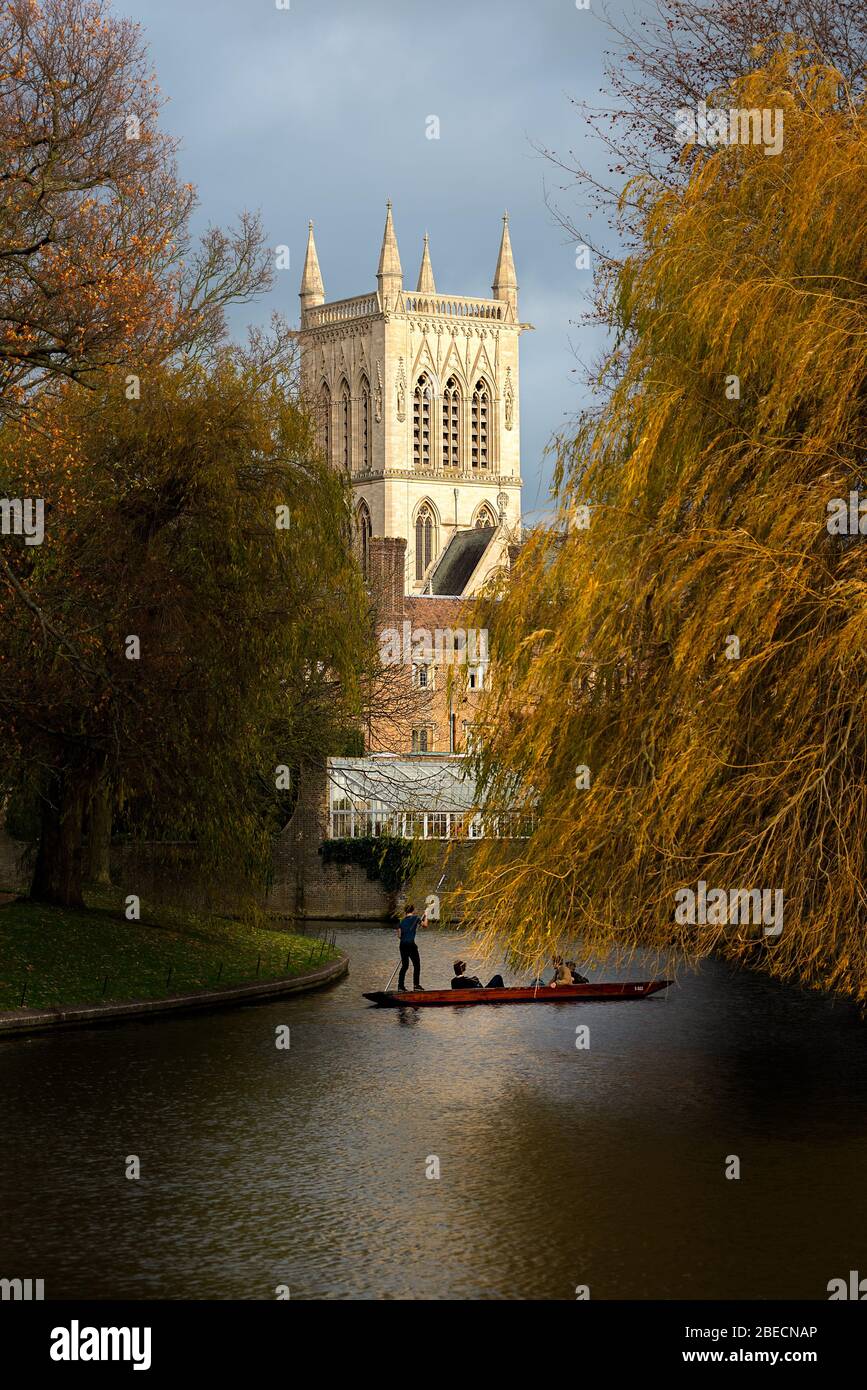 Students punt along the river Cam with a back drop of an illuminated St John's College chapel. Stock Photo
