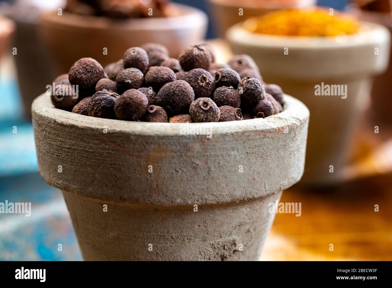Indian spices collection, dried whole allspice berries and another