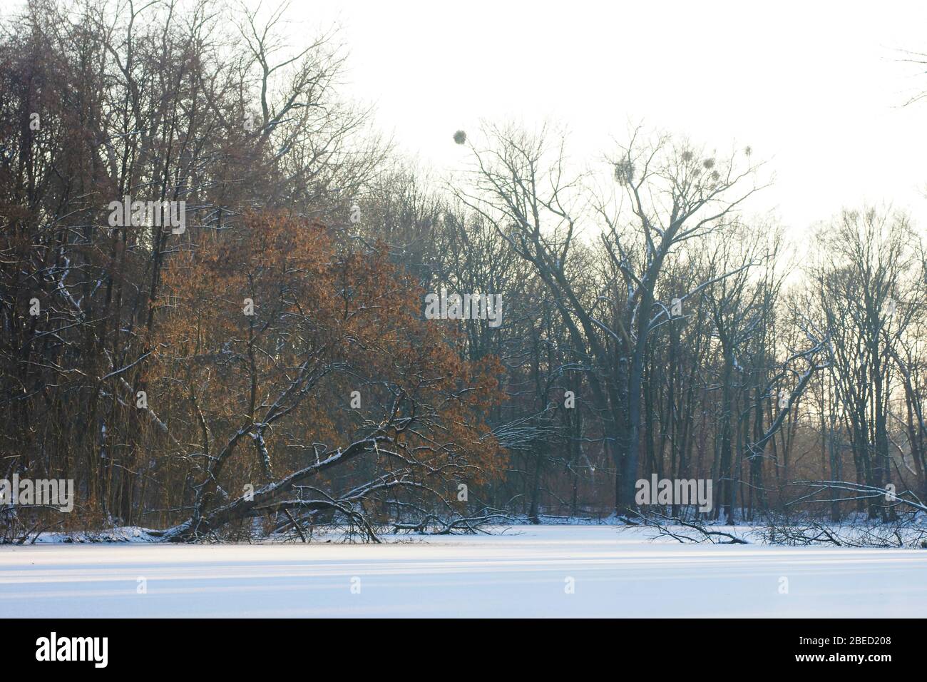 frozen lake Stock Photo