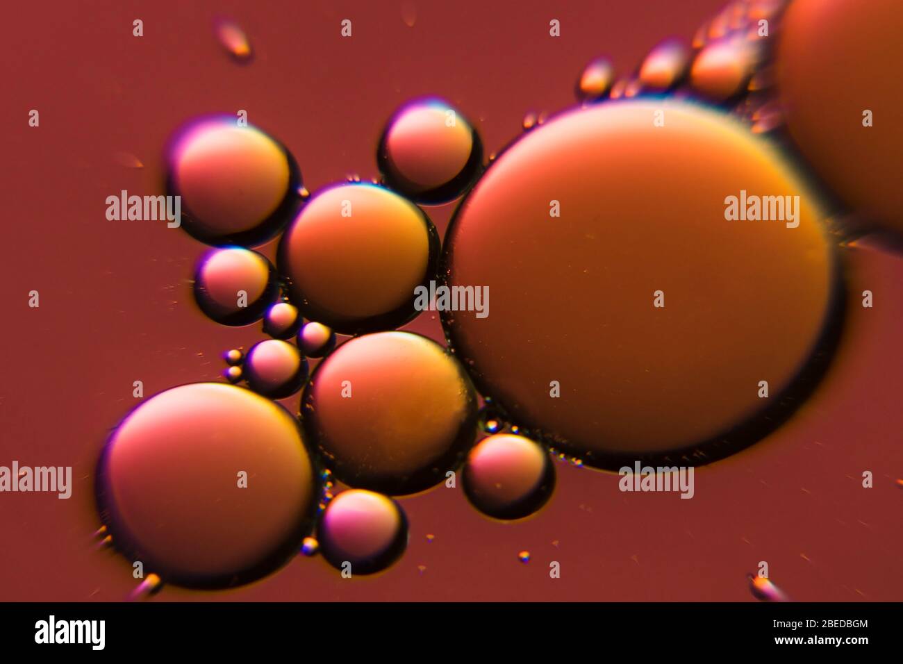 Balloon in chocolate circle hires stock photography and images Alamy