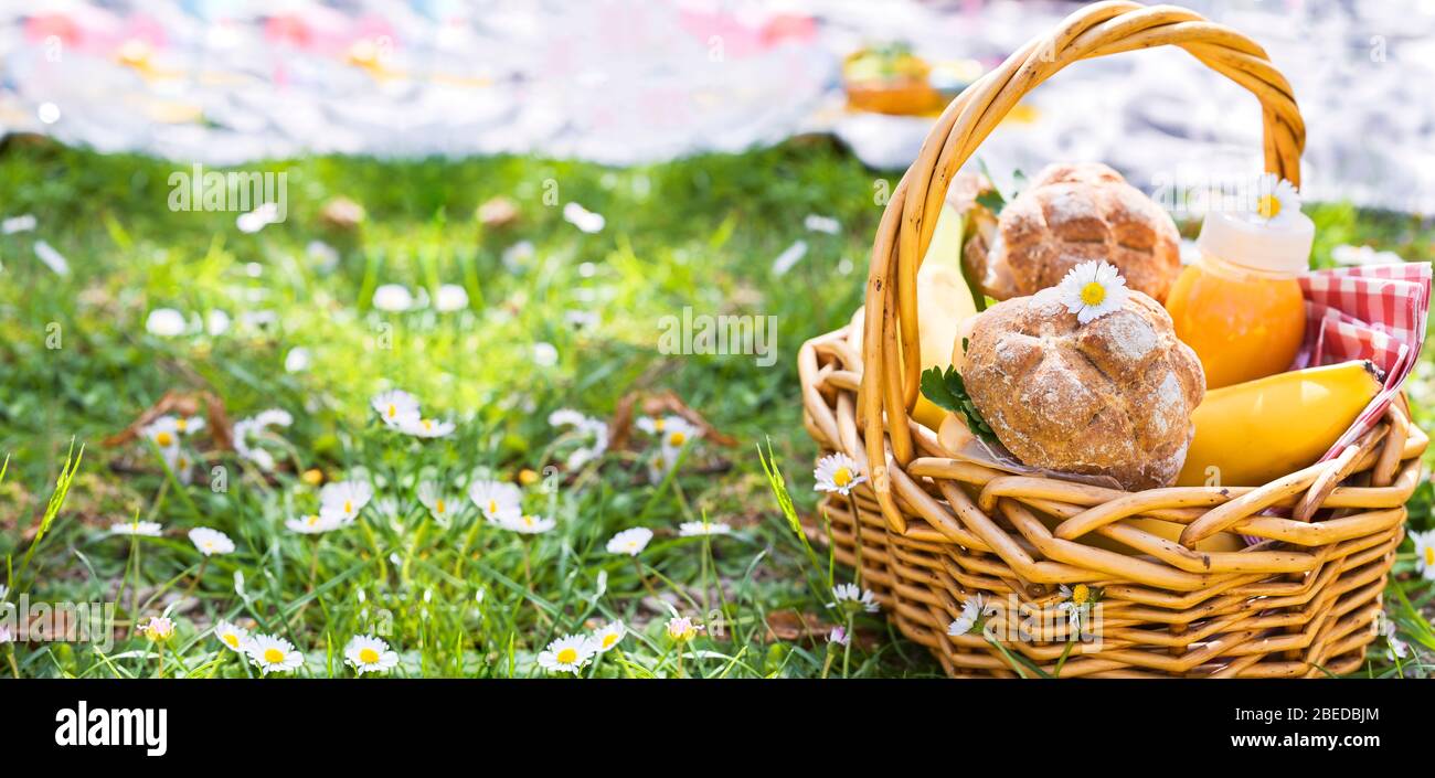 Lunch in the park on the green grass. Summer sunny day and picnic ...