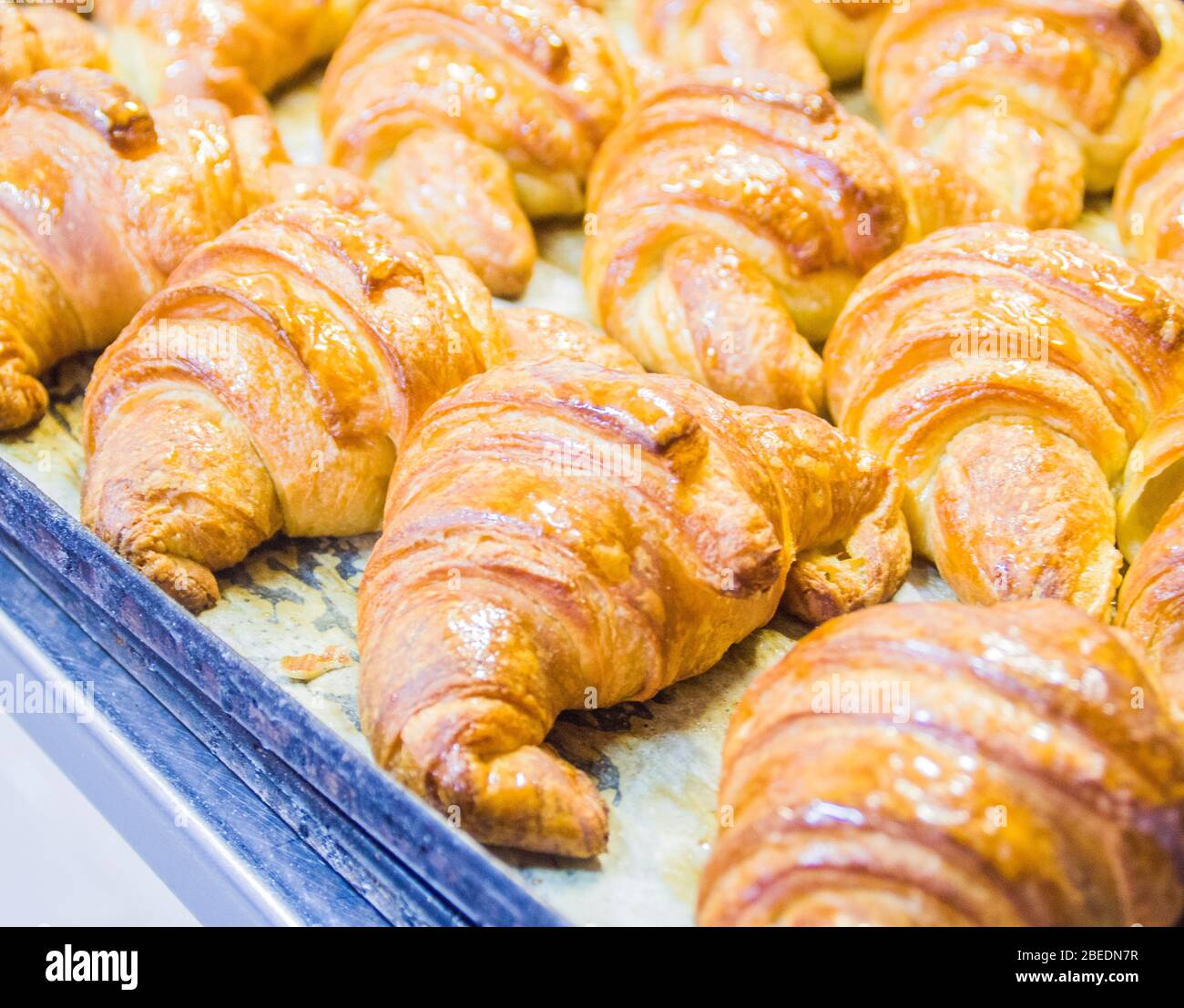 the real pastry, desserts, pastries and cakes prepared in the artisan