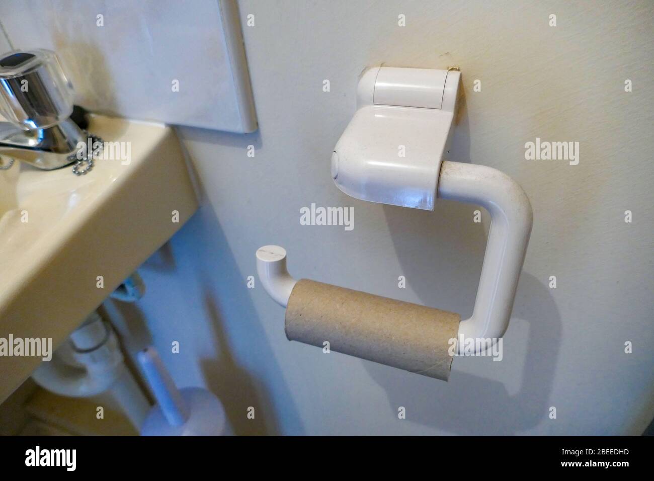 The empty toilet roll Stock Photo Alamy