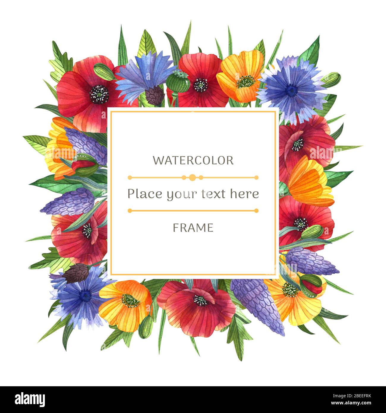 https://c8.alamy.com/comp/2BEEFRK/bright-watercolor-frame-with-wildflowers-on-the-white-background-poppies-buttercups-lavender-and-cornflowers-ideal-for-greeting-card-invitation-2BEEFRK.jpg