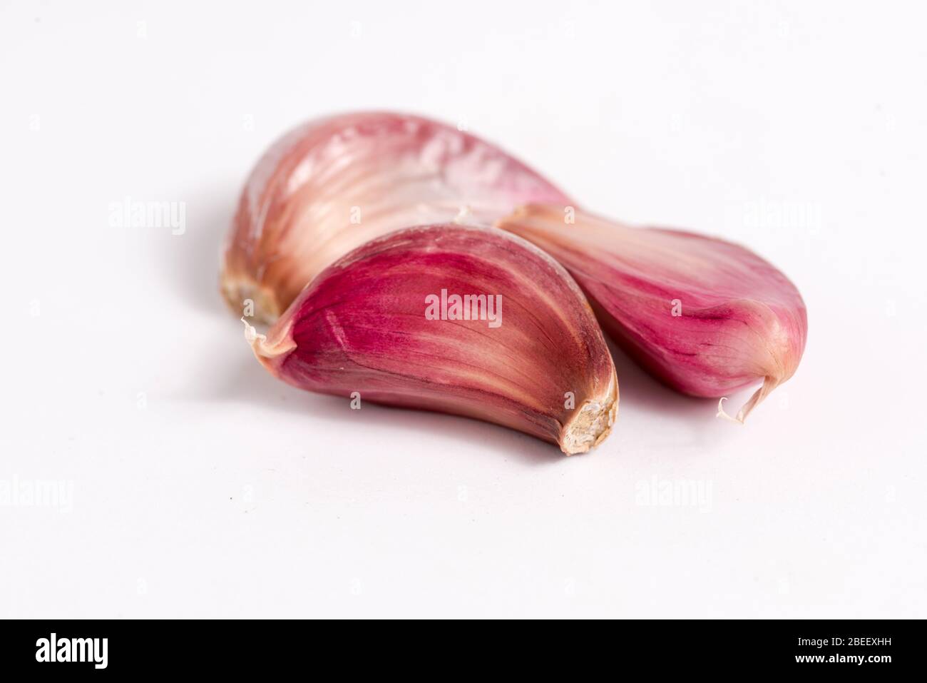 Garlic details isolated on plain background Stock Photo