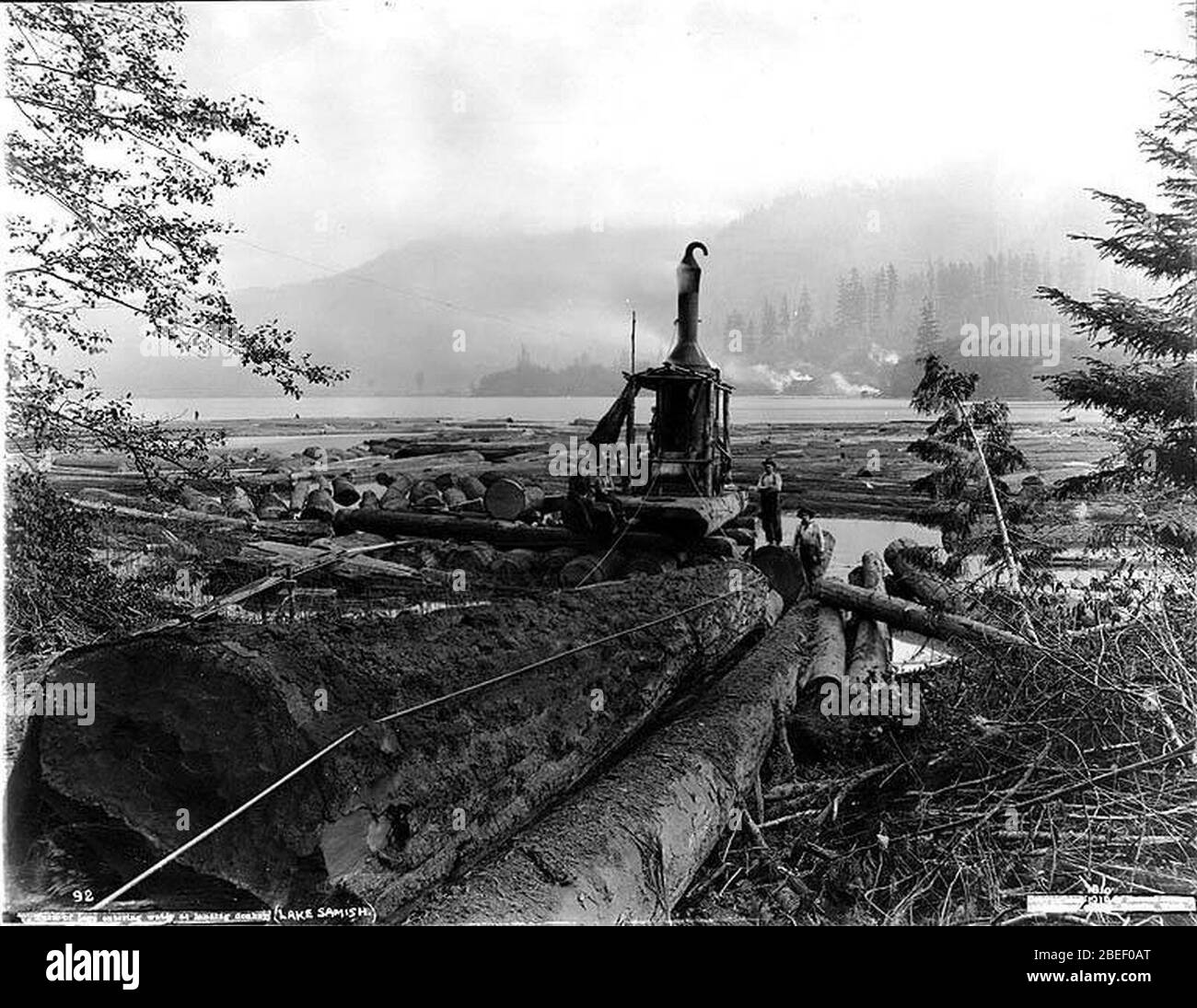 Logging operations. Картинка на англ языке logging operations.