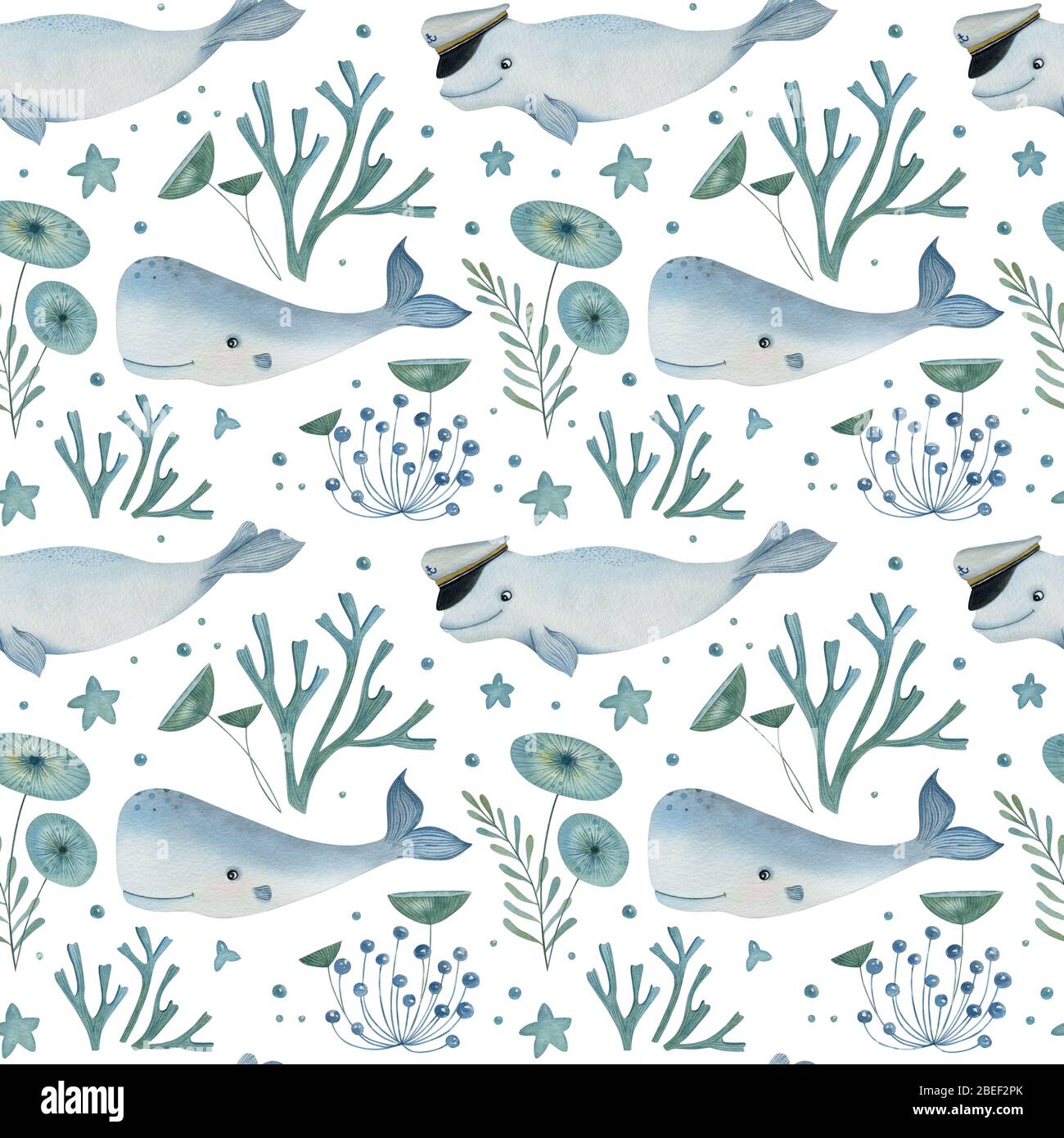 Watercolor seamless pattern with Arctic cachalots and beluga with decorative plant elements on the white background. Funny kids illustration. Stock Photo