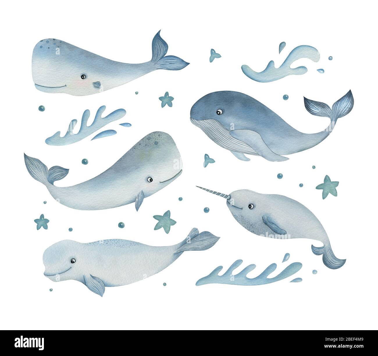 Watercolor set of sea animals on the white background. Cartoon whale, cachalot, narwhal, and beluga with decorative elements. Ideal for postcards. Stock Photo