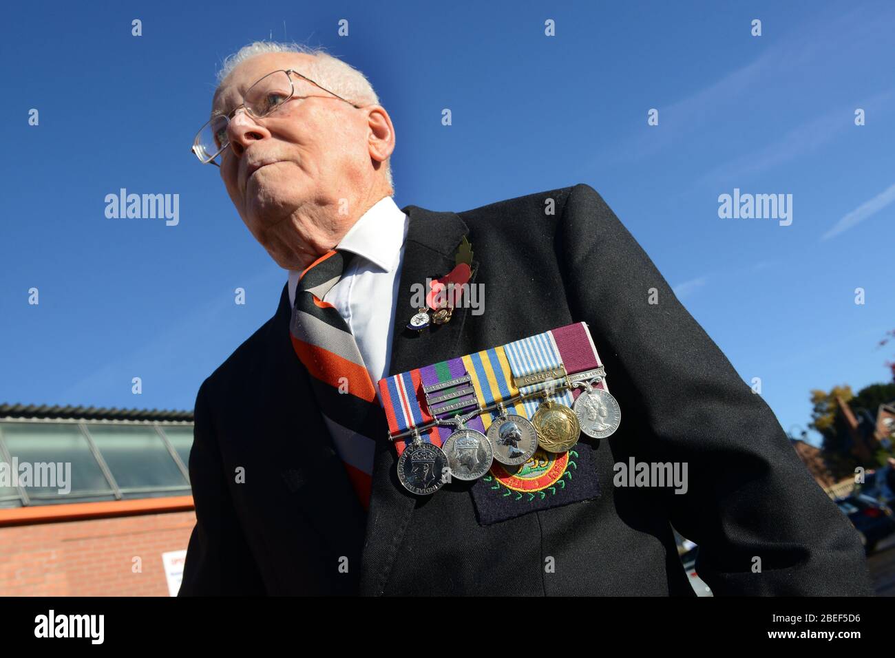 Ellesmere Remembrance Service. Wearing his medals with pride World War 2 veteran 86 year old Gordon Millhouse in November 2013 Stock Photo