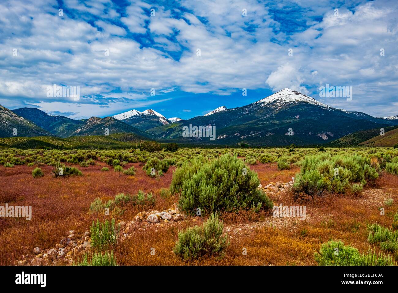 Majestic Wheeler Peak rises in the distance as viewed from a colorful spring meadow at Great Basin National Park - Nevada Stock Photo