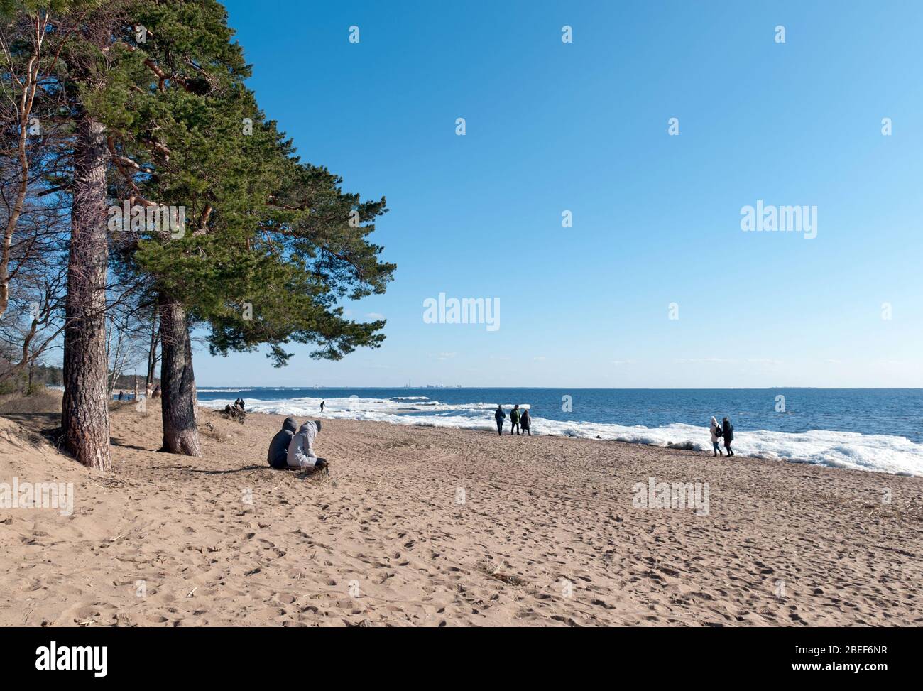 Komarovo hi-res stock photography and images - Alamy