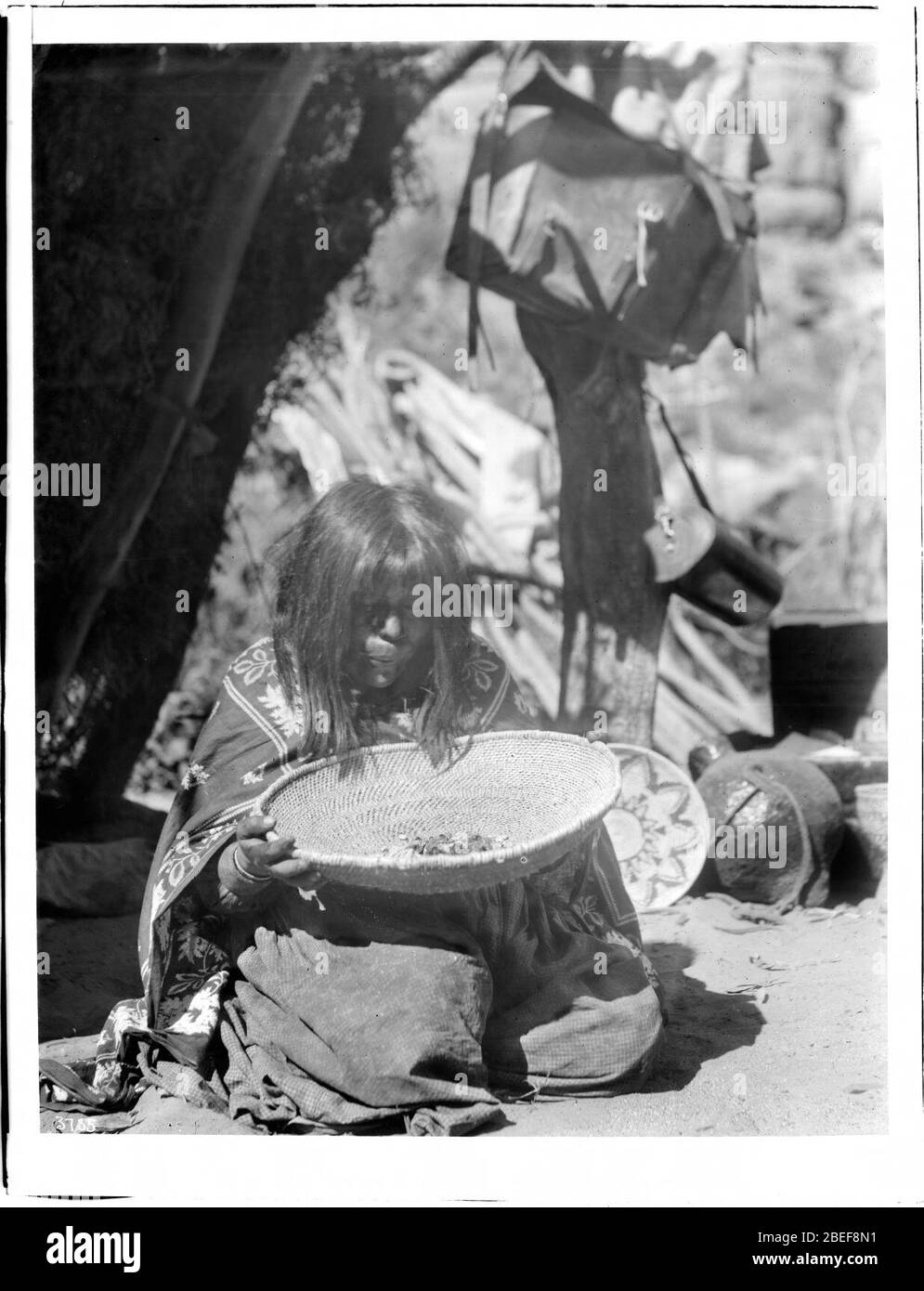 Havasupai Indian woman, Chickapanagie's wife, parching corn in a