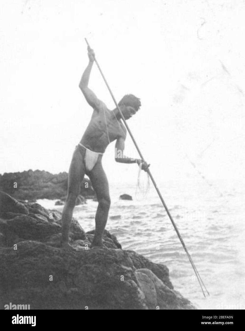 Fishing online in hawaiian