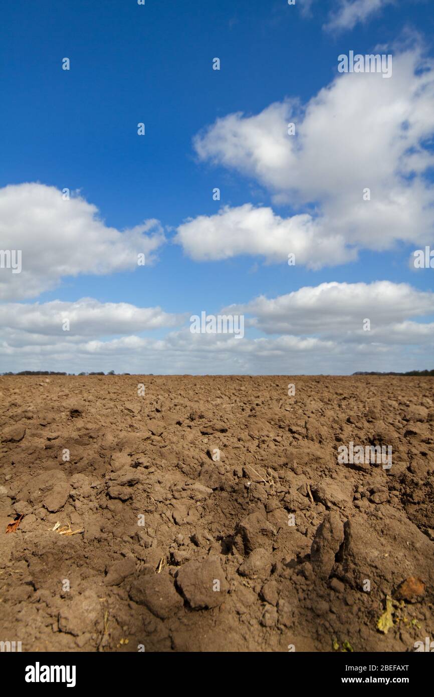 Fertile brown humic soil, prepared for sowing or planting, under a blue sky with white clouds Stock Photo