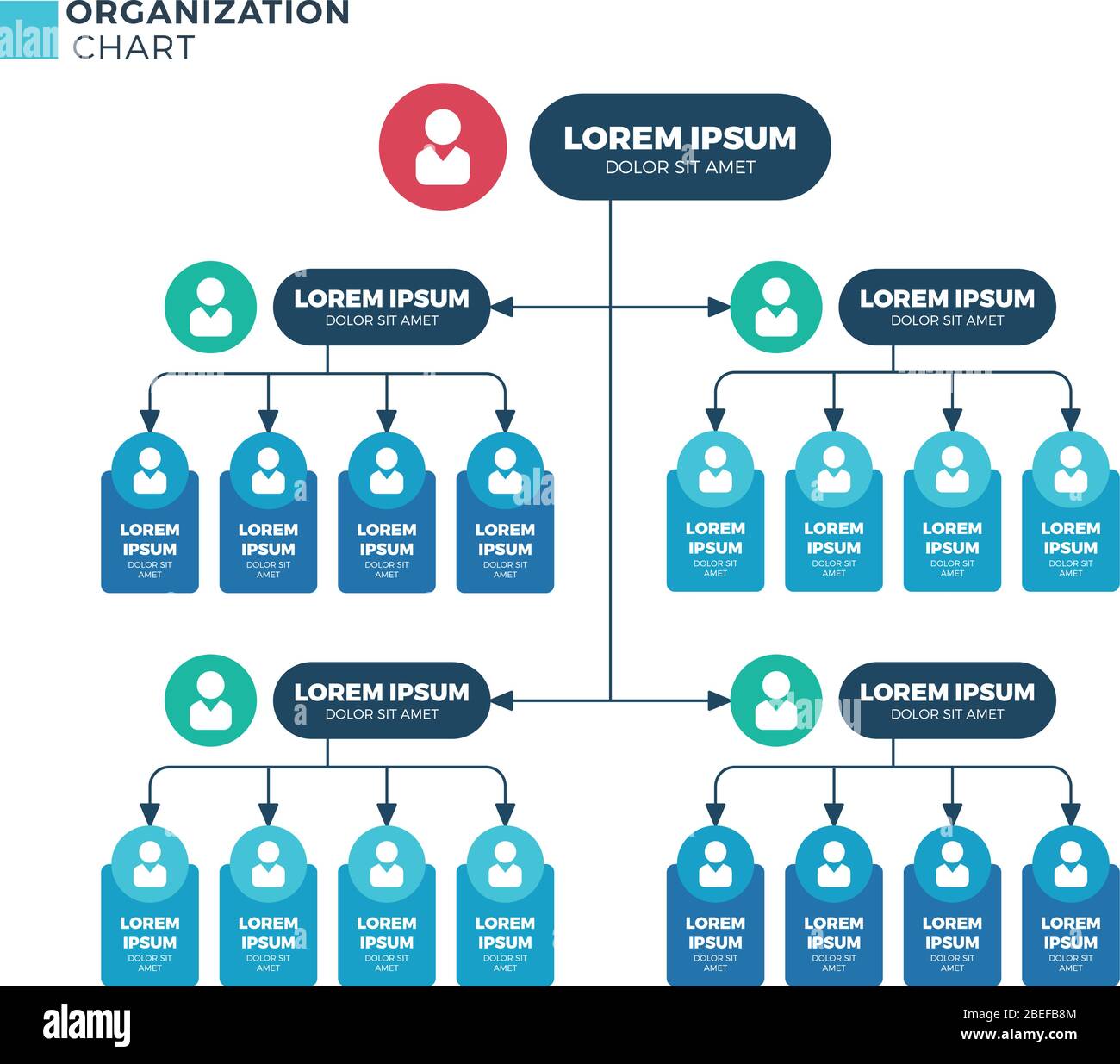 Business Structure Of Organization Vector Organizational Structural