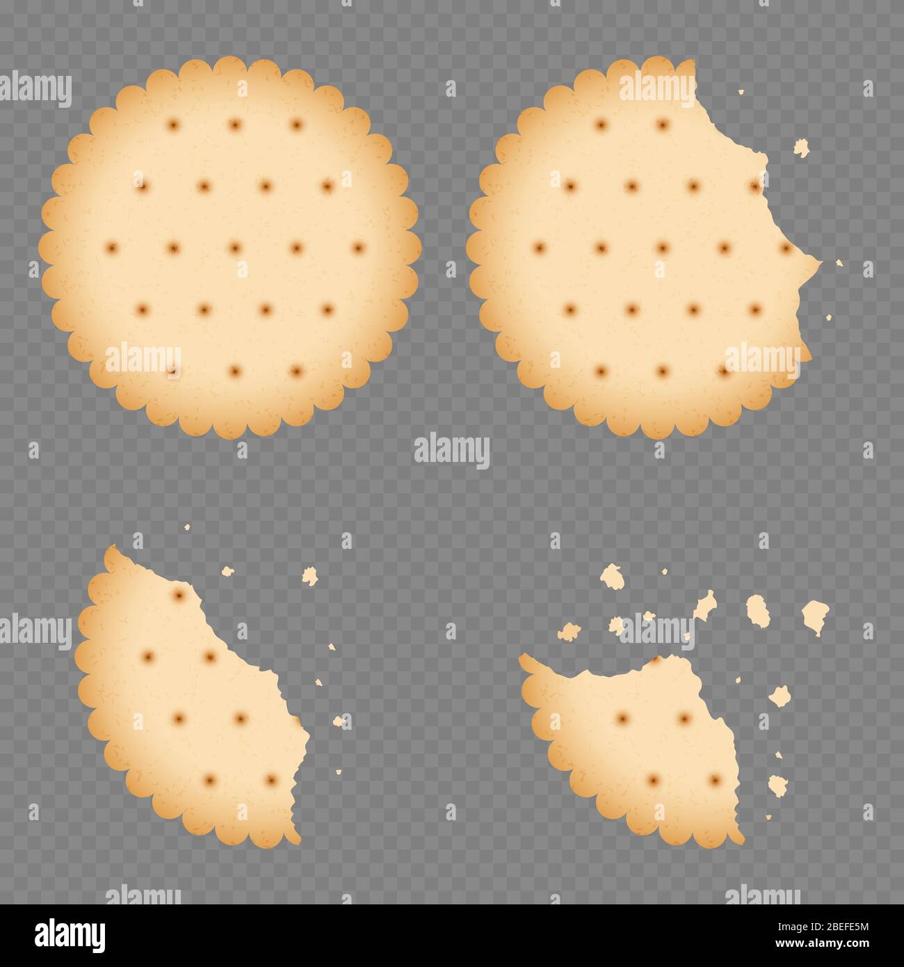 Bitten chip biscuit cookie, cracker isolated on transparent background. Vector illustration Stock Vector